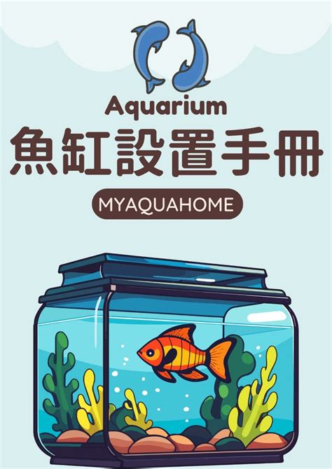 小金魚壽命|金魚介紹與飼養小秘訣